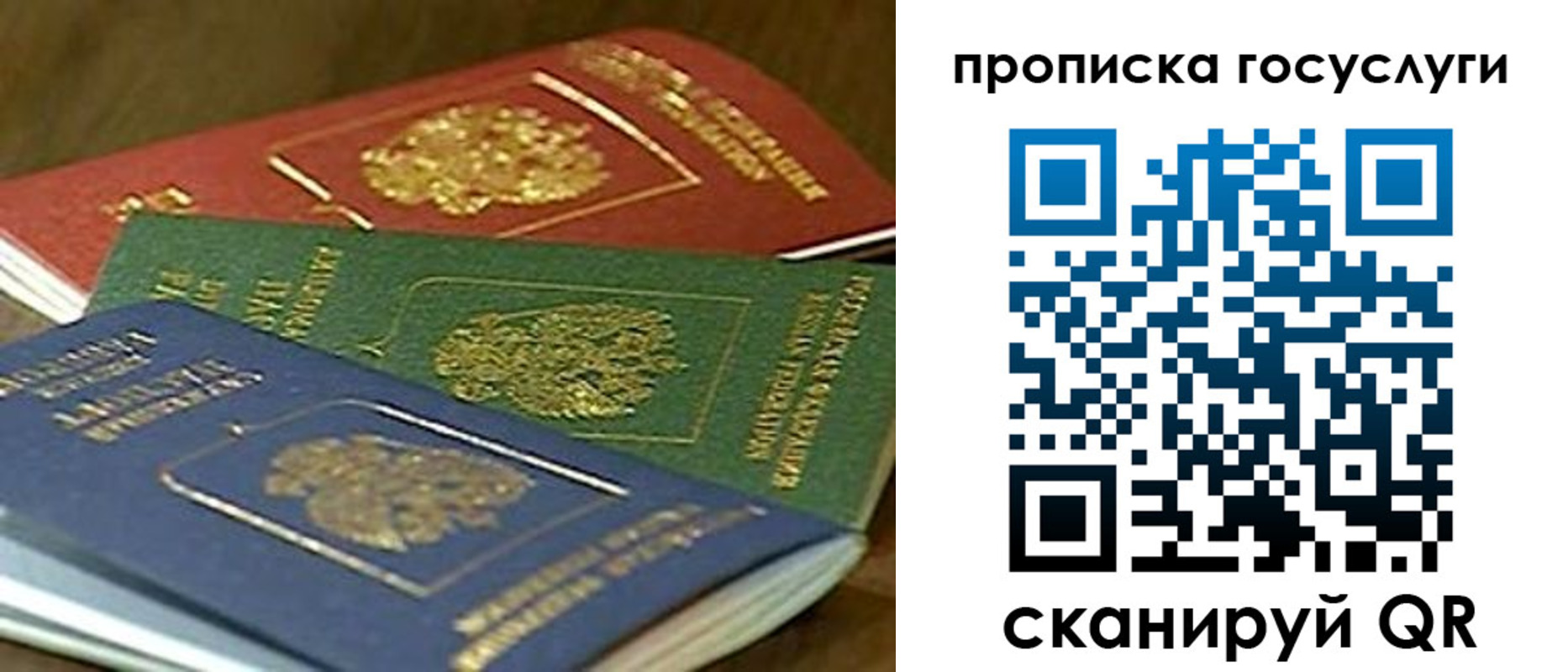 прописка гарантия в Богдановиче